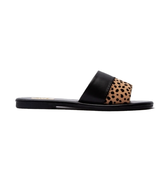 🆕 CASSIE SLIDES - Picture 3 of 4